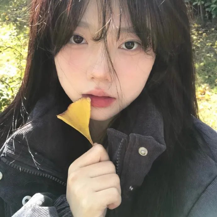 堕落的偶像